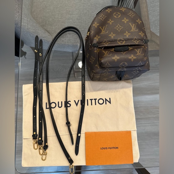 Louis Vuitton Palm Springs Mini - Picture 1 of 4